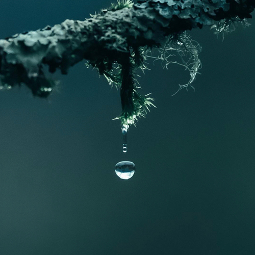 图片[1]-「夏末」微雨滴-白噪音频道 / 其他ASMR-秀房