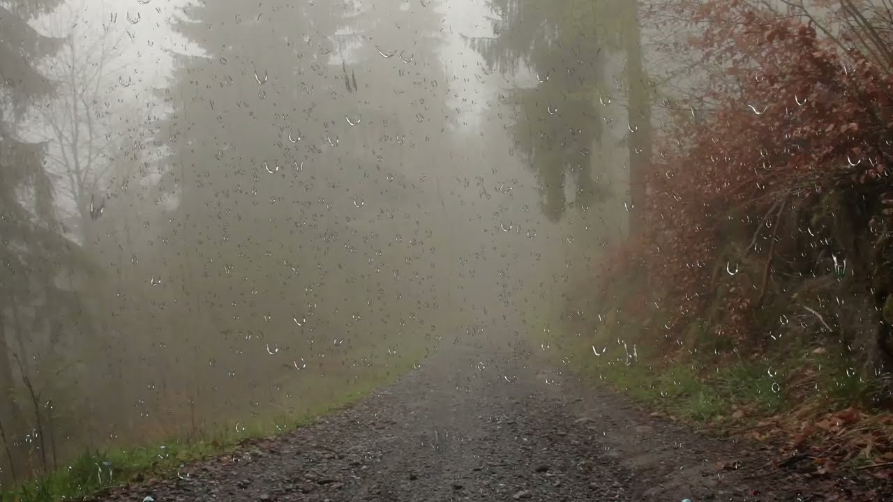 图片[1]-[白噪音]伴随着雷声和雨声入睡，对有失眠症和睡眠障碍的人有放松作用-白噪音频道 / 其他ASMR-秀房