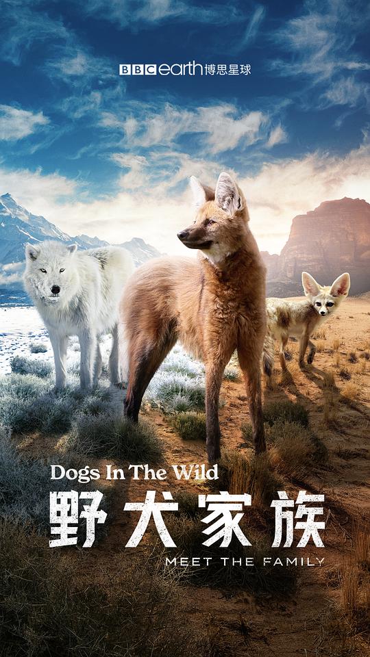 [BT下载][野犬家族][全3集][WEB-MP4/2.66G][中文字幕][1080P][H265][流媒体][ZeroTV]