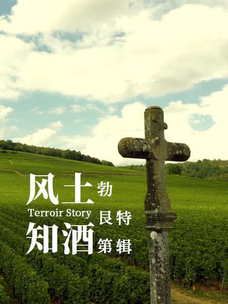 [BT下载][风土知酒 第二季][短剧][全13集][WEB-MP4/5.48G][中文字幕][1080P][流媒体][ZeroTV]