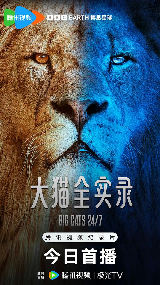 [BT下载][大猫全实录][全06集][WEB-MKV/10.32G][中文字幕][4K-2160P][H265][流媒体][ParkTV]